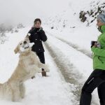 Dos jóvenes se divierten con su perro en la nieve, en la subida al Santuario de San Miguel de Aralar (Navarra