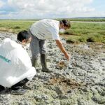 IU avisa de que «ya existen muchos estudios y analíticas de los fosfoyesos»