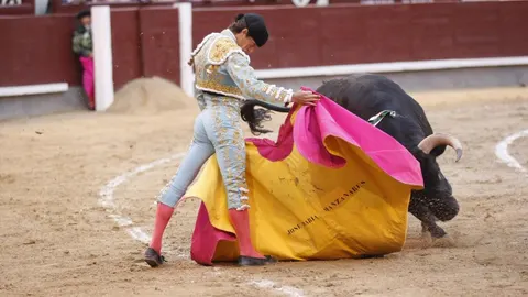 Lama de Gongora en imagen de archivo