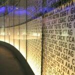 Científicos israelíes han creado pantallas flexibles hechas de ADN
