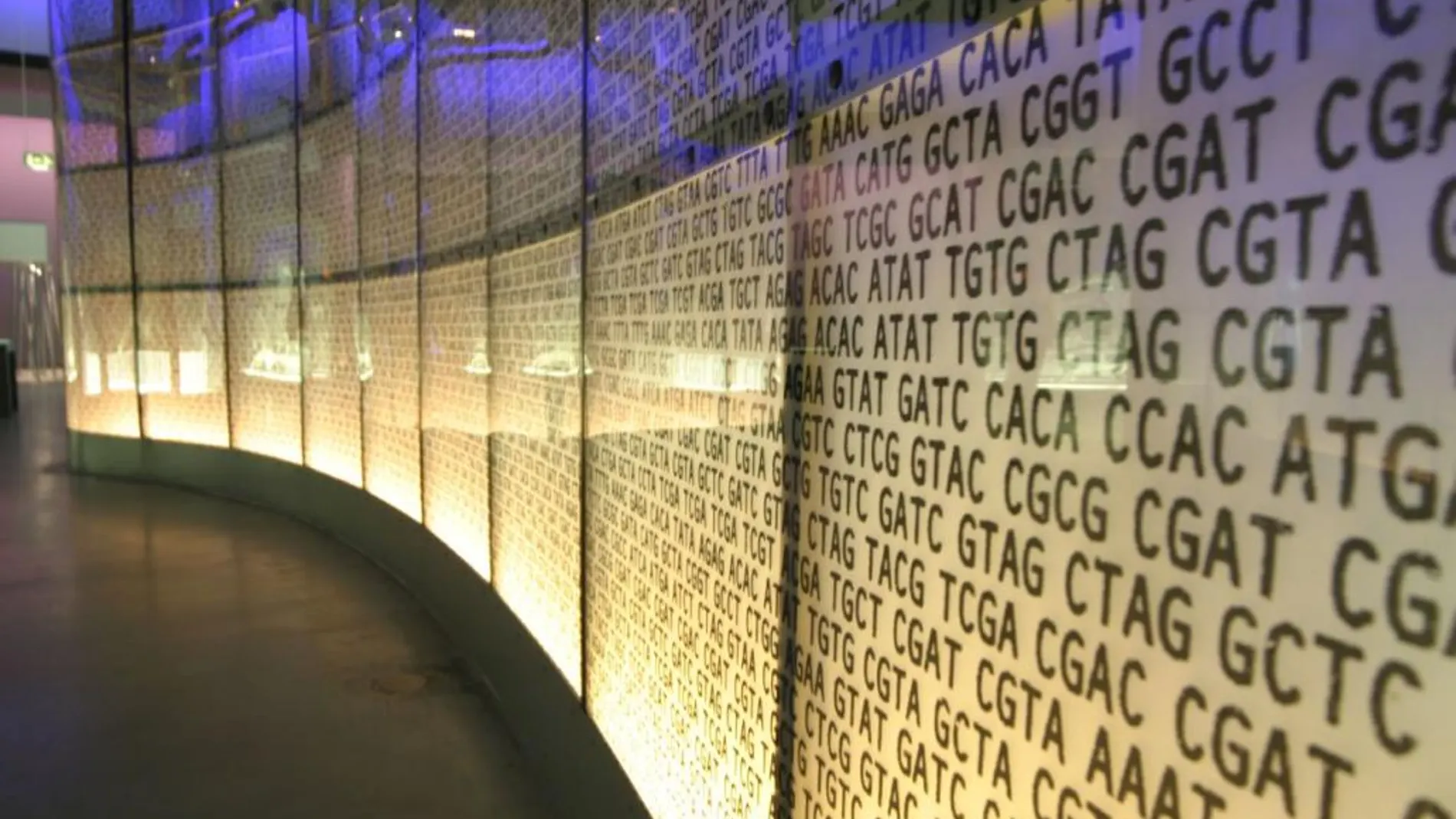 Científicos israelíes han creado pantallas flexibles hechas de ADN