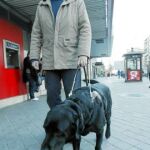 En la imagen, una persona invidente ayudada por un perro guía