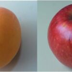 Melocotones y manzanas las frutas más populares