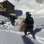 Agentes del Grupo de Rescate e Intervención en Montaña (Greim) de la Guardia Civil
