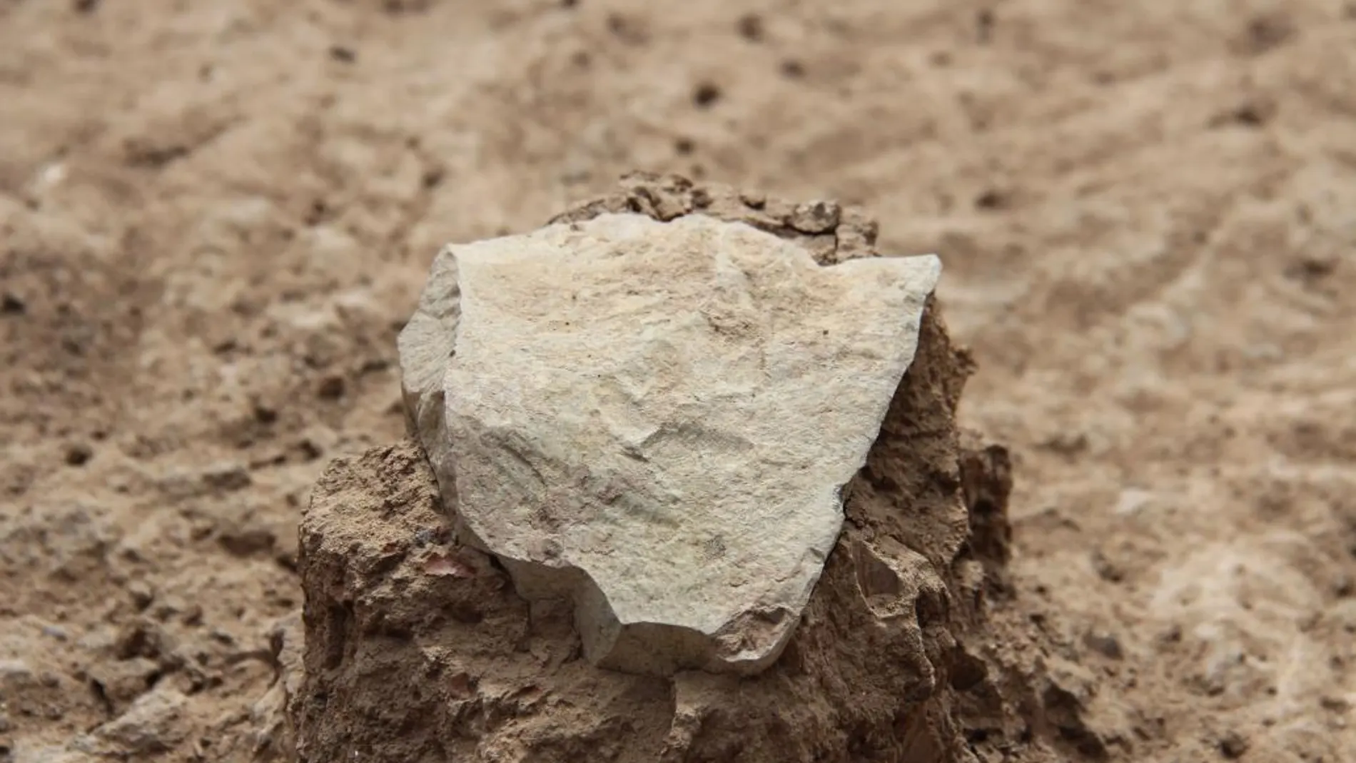 Descubren herramientas de piedra anteriores al «homo habilis»