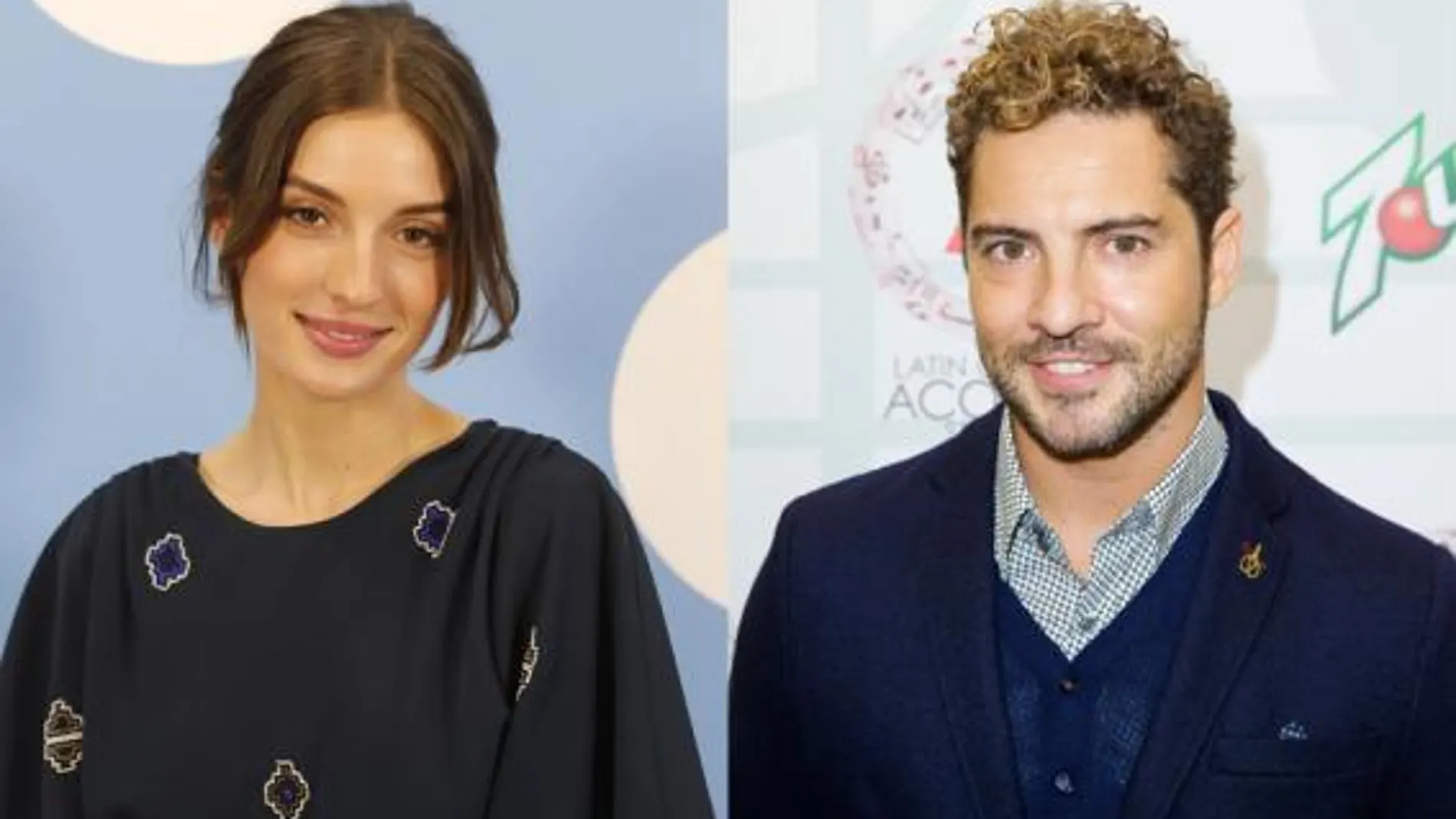 La actriz María Valverde y el cantante David Bisbal