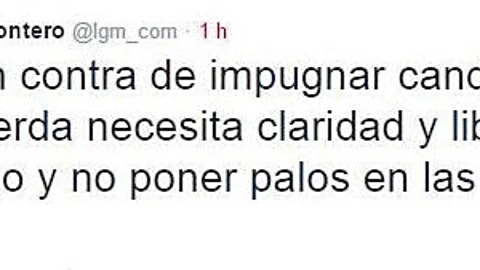 Bronca interna en IU, otra vez por las siglas