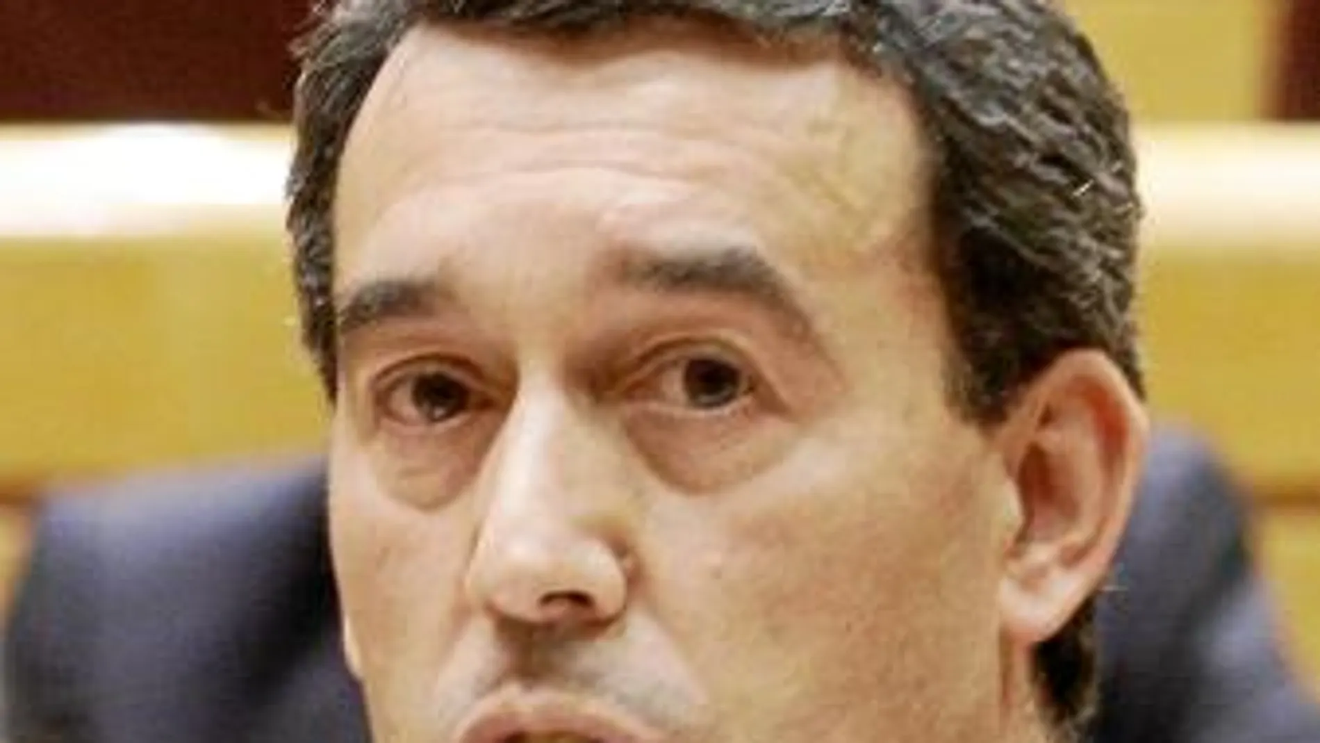 El secretario general del PP en el Senado, Antolín Sanz