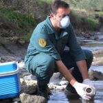 Un guardia civil del Servicio de Protección de la Naturaleza (Seprona) toma muestras del agua de un arroyo