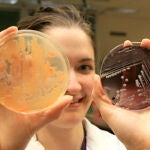 Una investigadora sostiene dos cultivos de bacterias