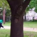 Un policía de EE UU mata a tiros por la espalda a un hombre negro desarmado