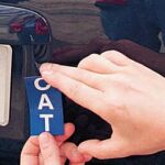 Las matrículas autonómicas desatan una nueva pugna entre ERC e ICV