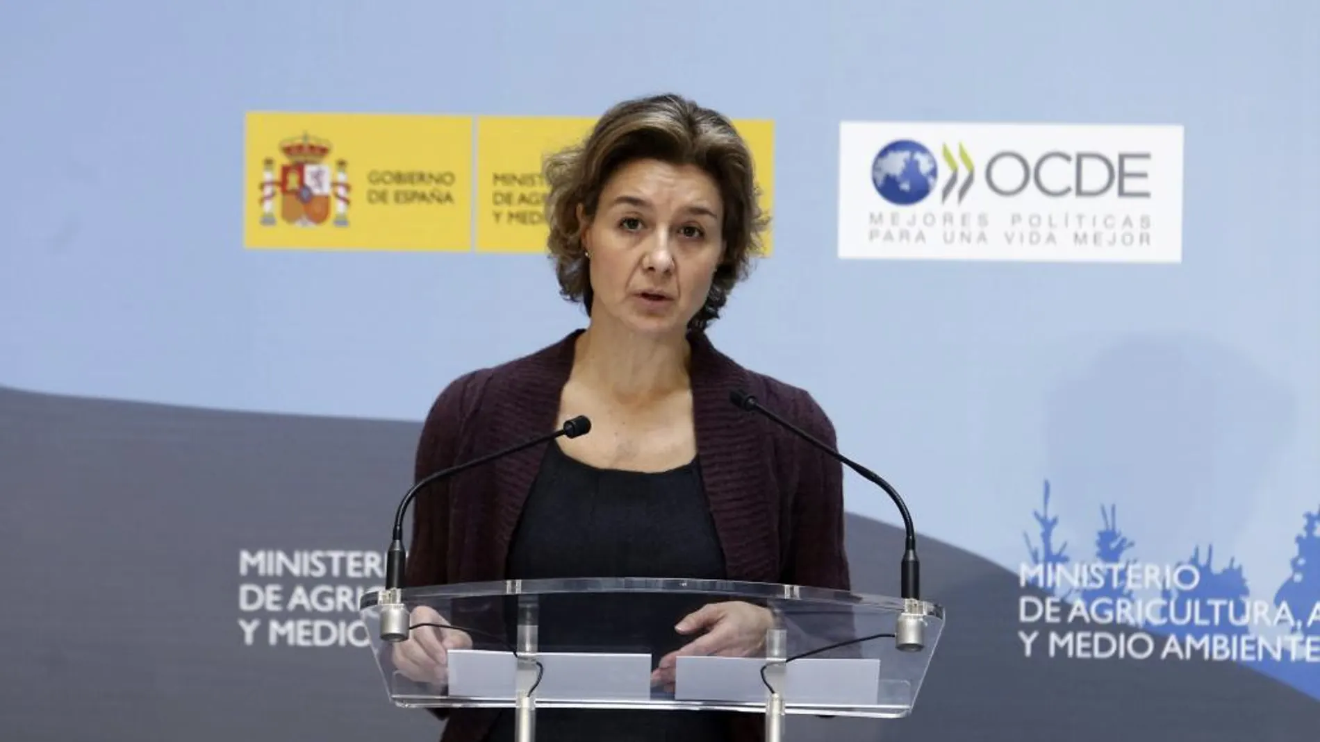 La ministra Agricultura, Isabel García Tejerina, durante la presentación del informe "Análisis de los resultados medioambientales de la OCDE. España 2015"