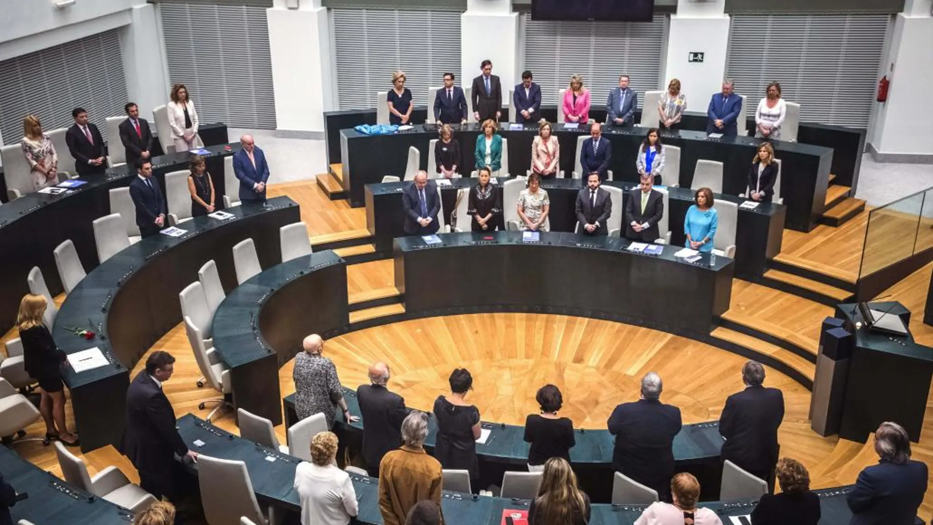 Último Pleno del mandato de Ana Botella como alcaldesa de Madrid