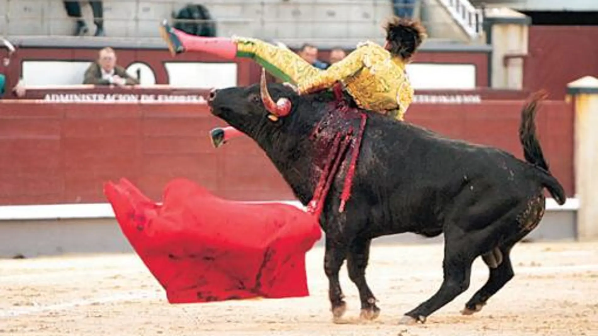 Juan Carlos Cabello resultó cogido por el sexto, ayer, en Las Ventas