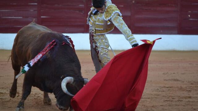 Natural de Alejandro Talavante, esta tarde en Olivenza