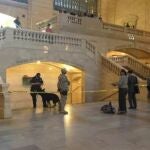 Cierre parcial de la estación central de Nueva York por un paquete sospechoso