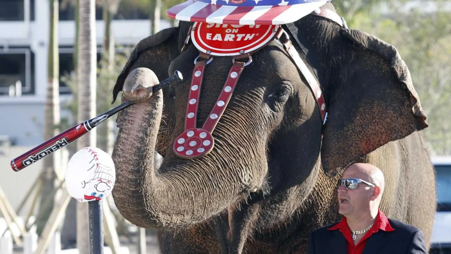 Taba Maluenda, entrenador de animales del crico de los Ringling Brothers, con uno de los elefantes que será retirado del espectáculo
