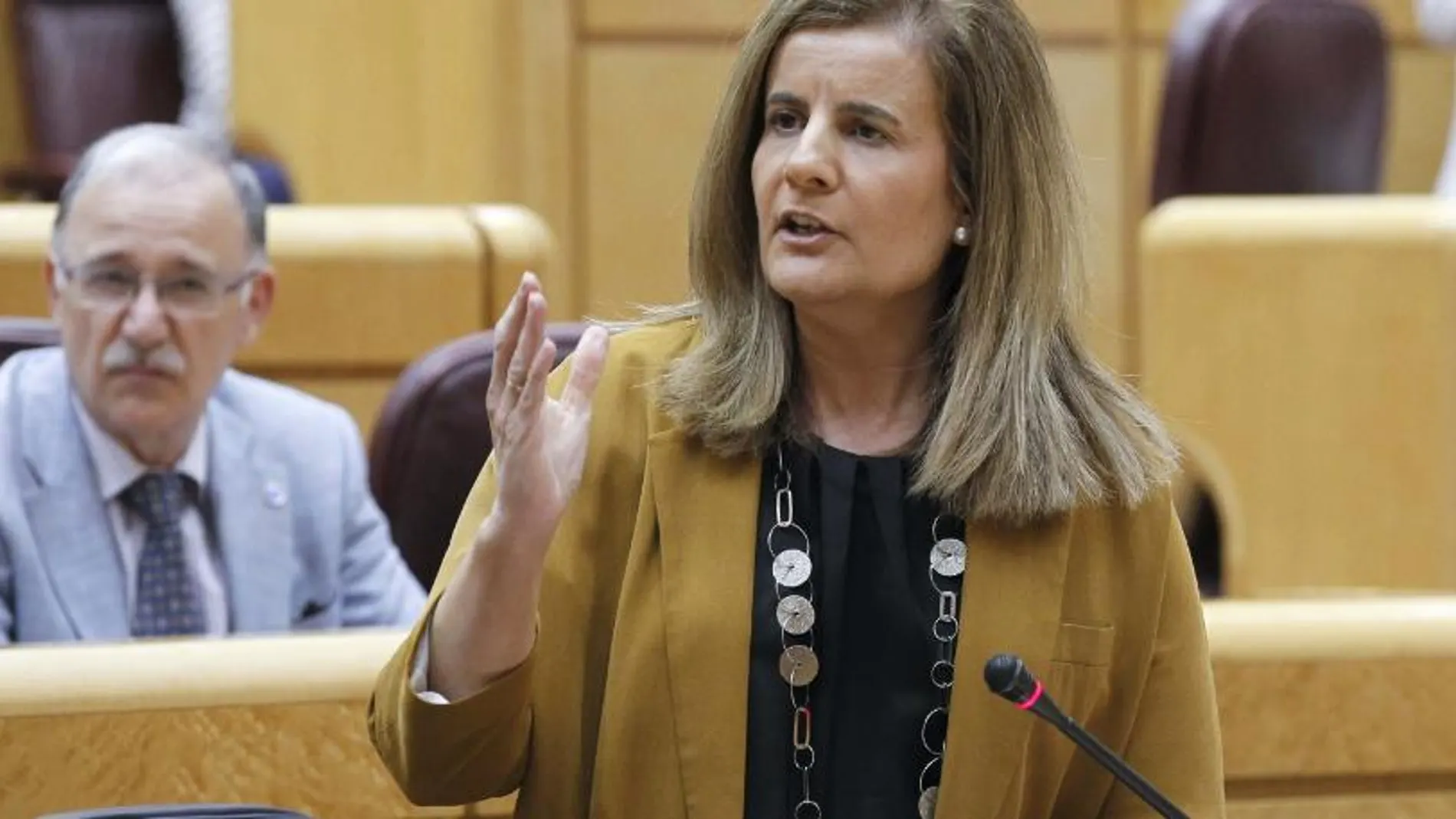 La ministra de Empleo, Fátima Báñez, interviene durante un pleno celebrado en el Senado