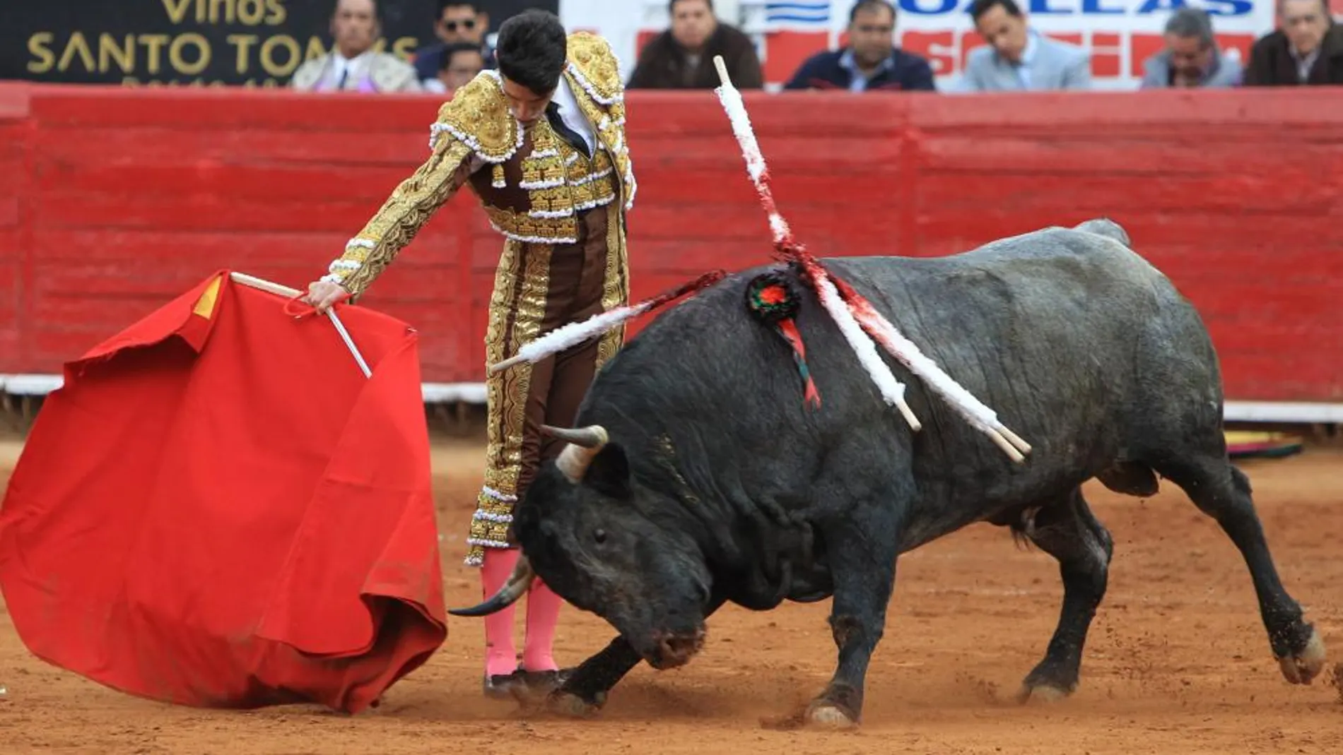 Alejandro Talavante, ayer en México DF