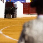 La Feria de San Lucas volverá a echar el cierre a la temporada española en cuanto a ferias se refiere