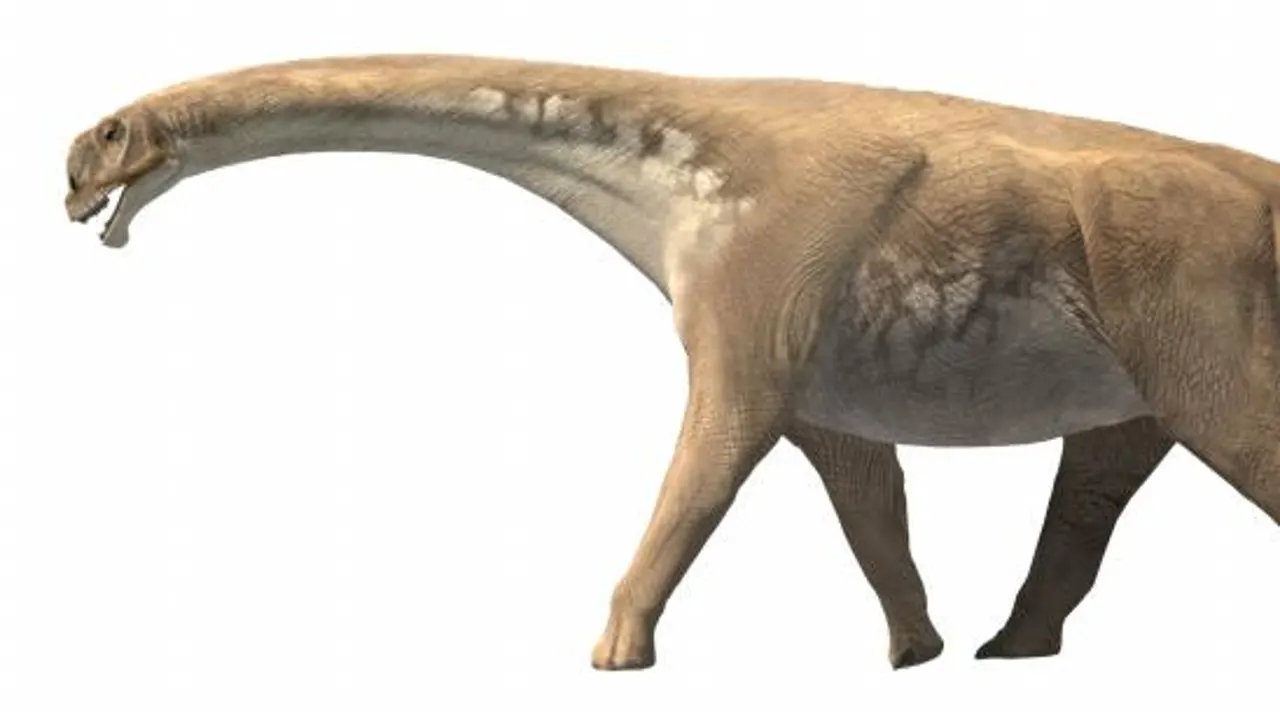 El primer dinosaurio español medía 17 metros de largo y pesaba 20 toneladas