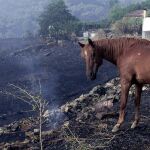 Más de 30.000 hectáreas ardieron en aquel fatídico 2004.