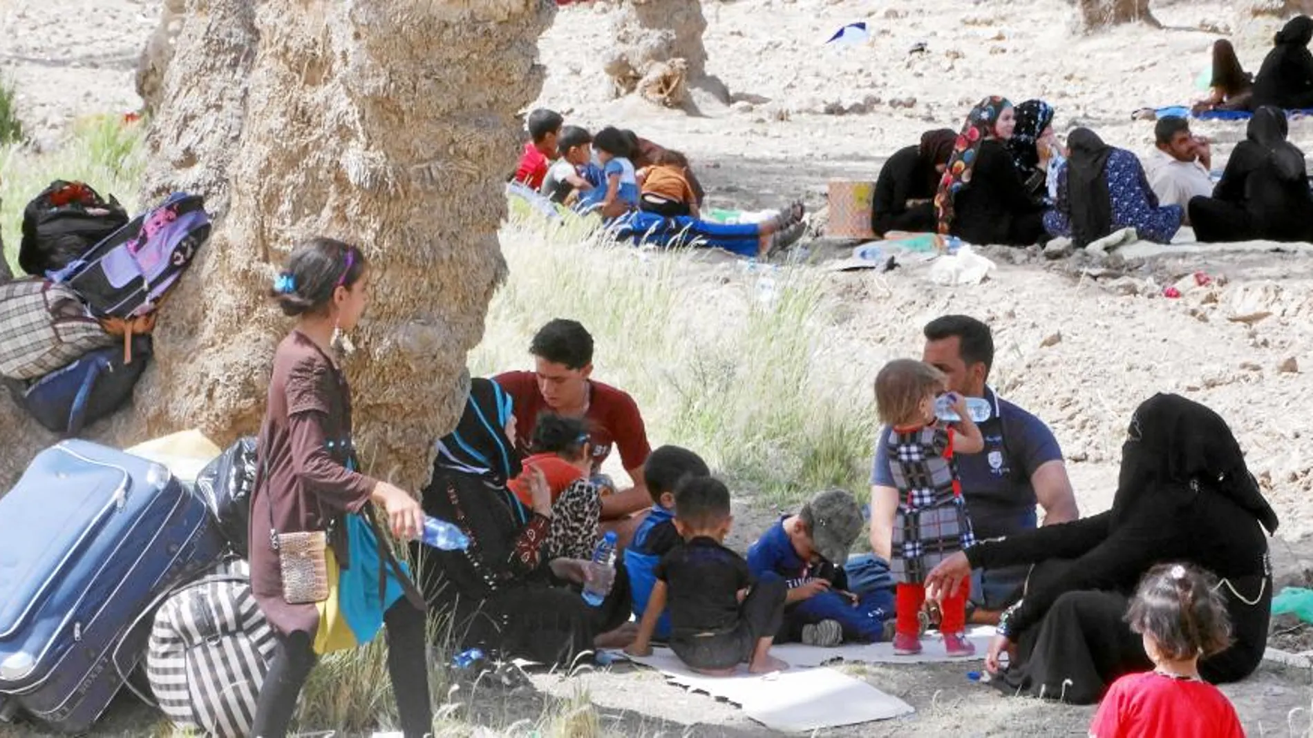 DESPLAZADOS POR LA GUERRA. Miles de iraquíes han dejado sus hogares desde que el EI tomó Ramadi