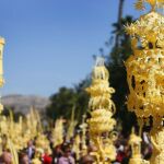 Miles de ilicitanos lucen sus palmas blancas