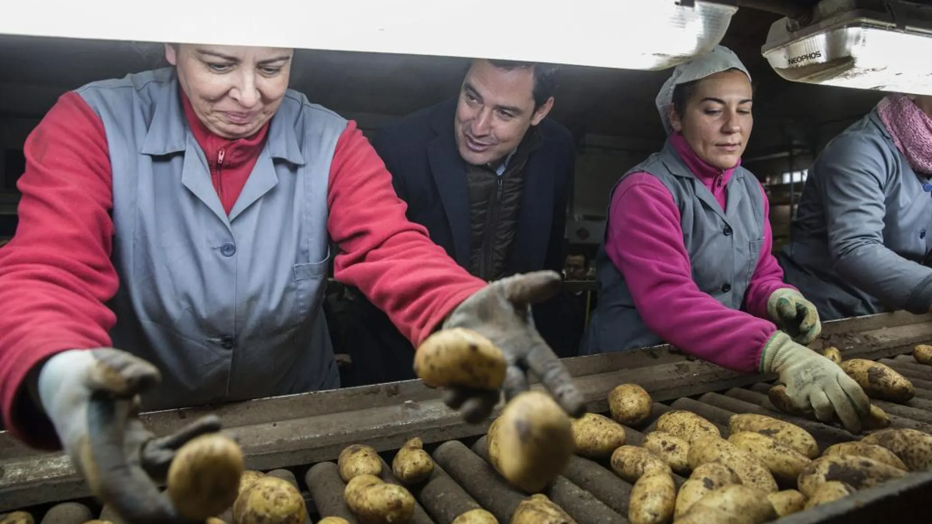 El presidente del PP andaluz y candidato a la presidencia de la Junta de Andalucía, Juanma Moreno, habla con una operaria durante la visita realizada hoy a la cooperativa Horticultores El Torcal en la localidad malagueña de Antequera.