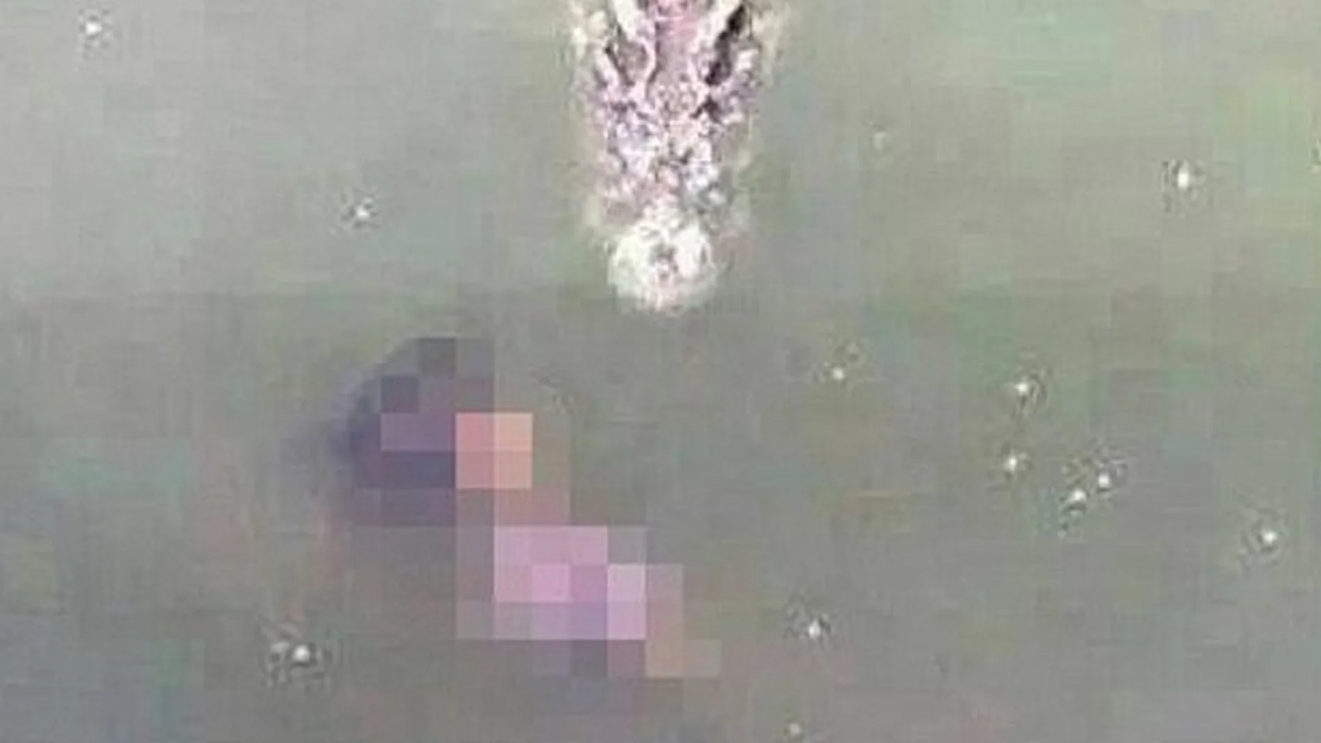 Una anciana se suicida al saltar a un estanque lleno de cocodrilos