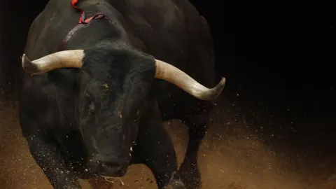 Imagen de un toro de Dolores Aguirre