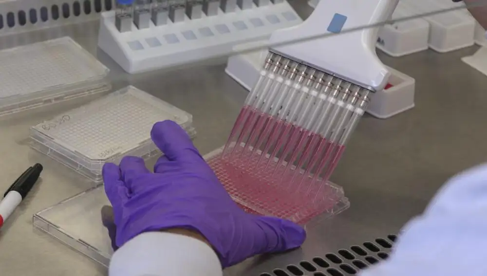 Un investigador trabaja con anticuerpos producidos por células B de personas de áfrica que han sobrevivido al virus del ébola