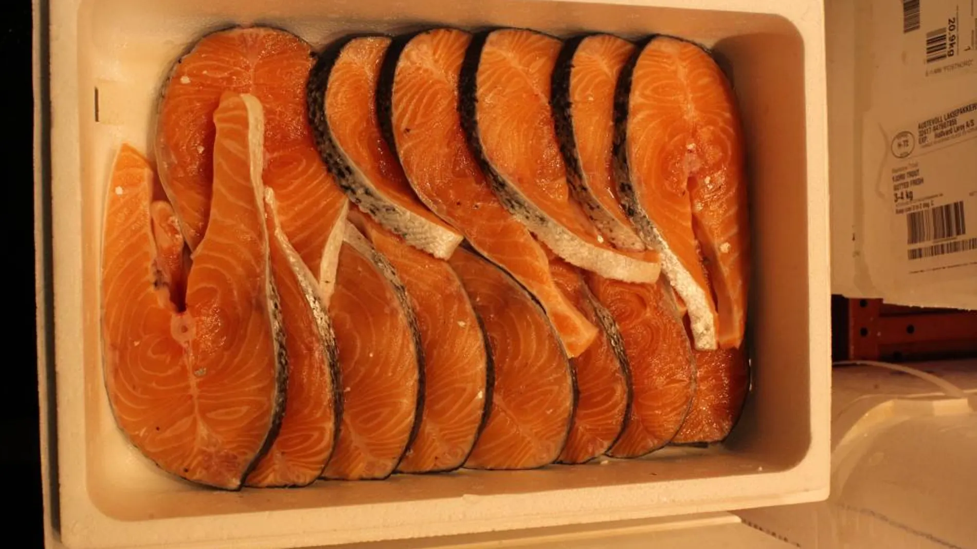 El salmón es una fuente rica en ácidos grasos