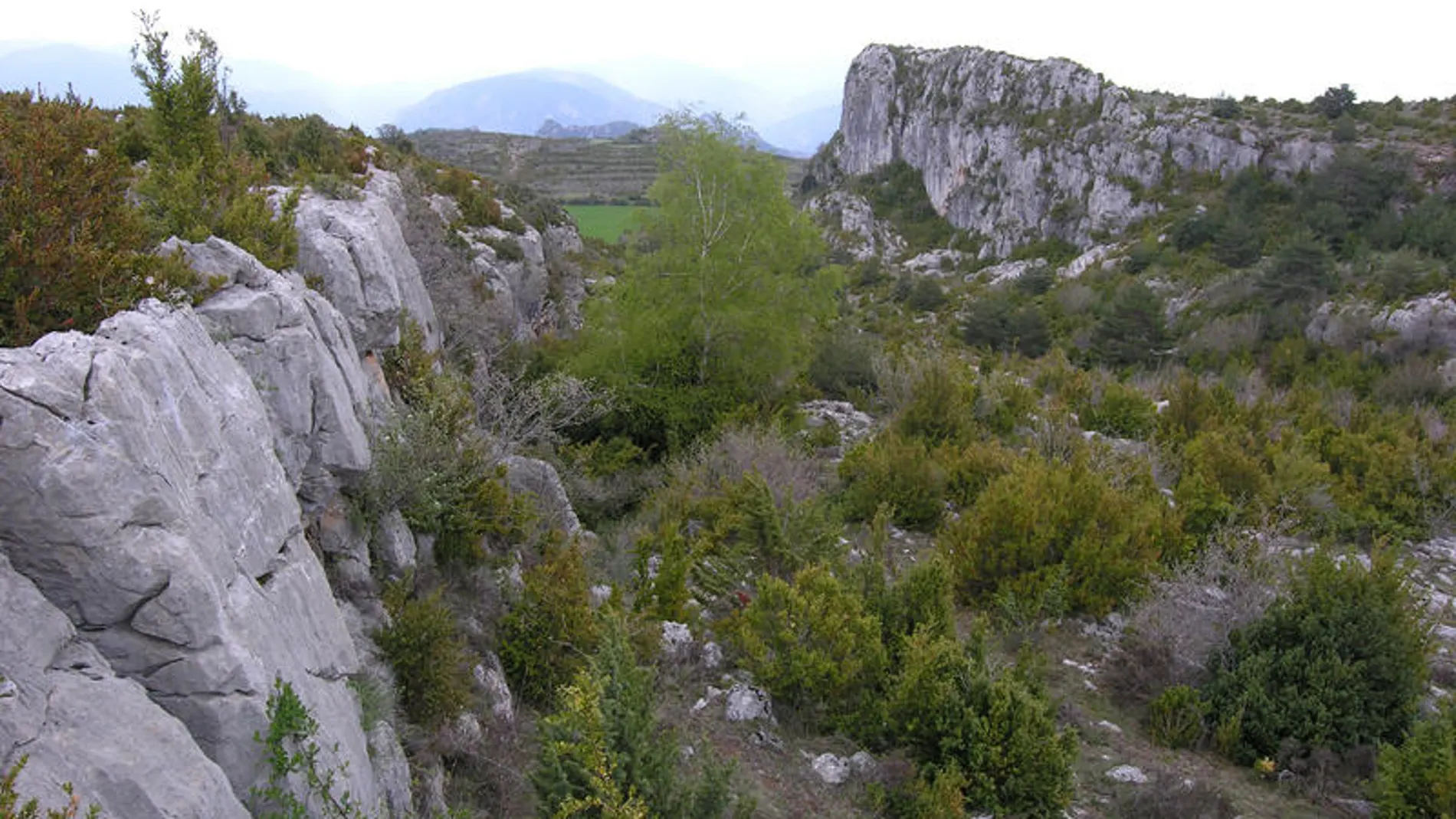 Una amplia zona hundida y desplazada lateralmente de la parte alta de la montaña (graben).