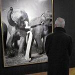 «Dovima entre elefantes», récord para Avedon. A la izda., «99 cent II Diptych», de Gursky, la fotografía más cara vendida en subasta