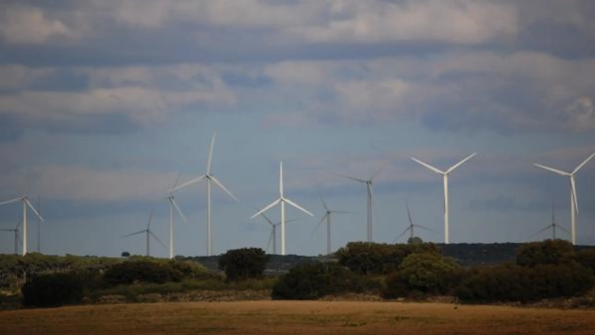 La eólica generó, en la mañana del jueves, 11.180 MW simultáneos