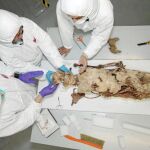 Los investigadores han analizado el cuerpo encontrado en la tumba de Jaime II y han certificado prácticamente al 100 por 100 que se trata de Blanca de Anjou