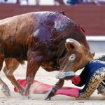 El murciano Paco Ureña resultó herido por el segundo toro de la tarde pero pudo salir a matar el último