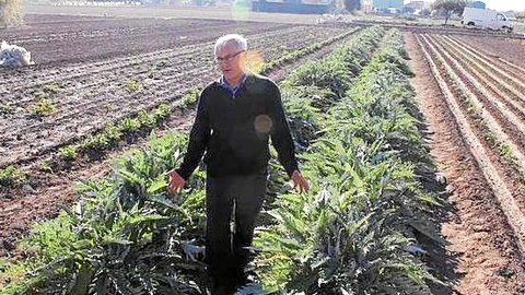 Entre las propuestas curiosas de la formación de Ribó se encuentra la de la creación de una Concejalía de Huerta y Agricultura para activar las zonas sin cultivar y crear una circunvalación agrícola