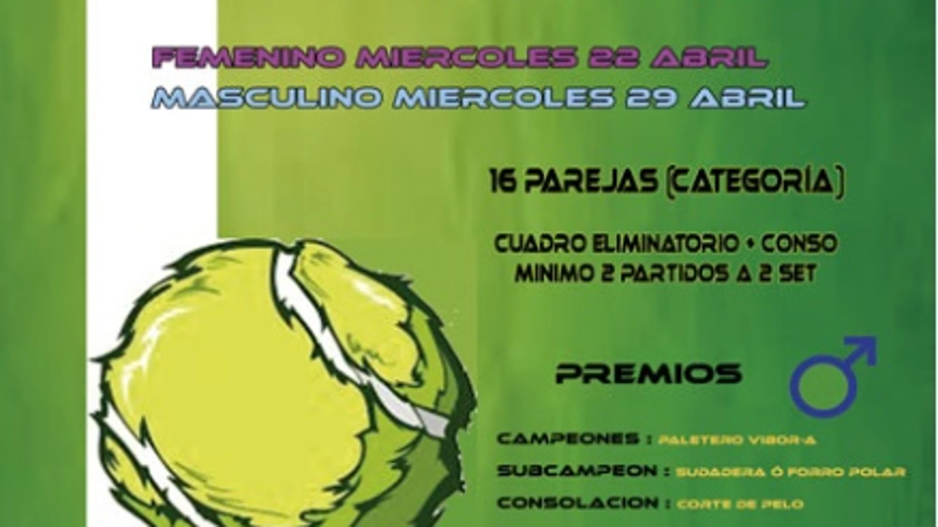 Cartel de la competición