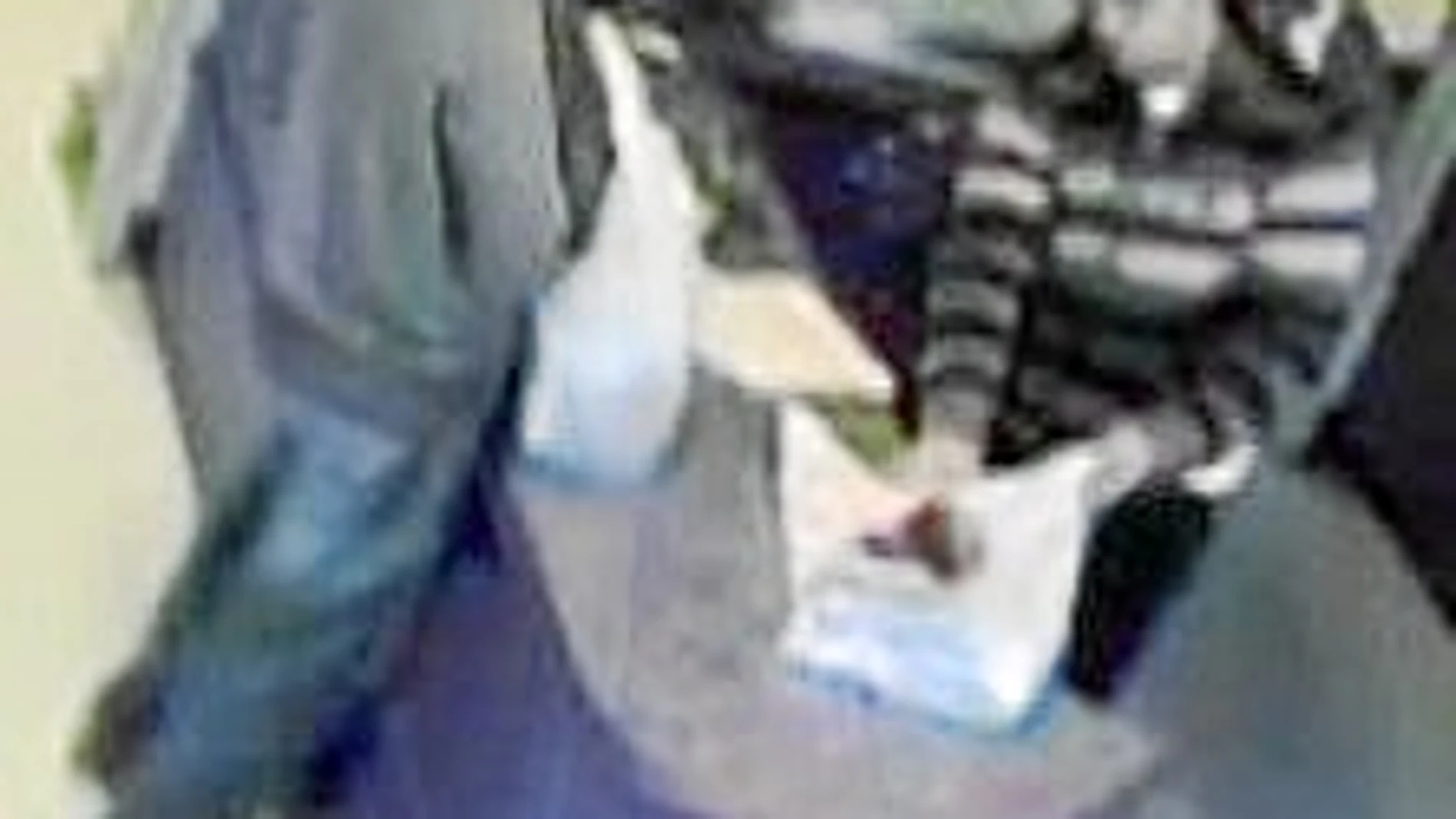 Vídeo que muestra a Shahzad comprando material explosivo para fabricar la bomba