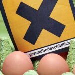Las autoridades alemanas detuvieron la producción de huevos de más de 4.700 granjas como medida de precaución ante la contaminación