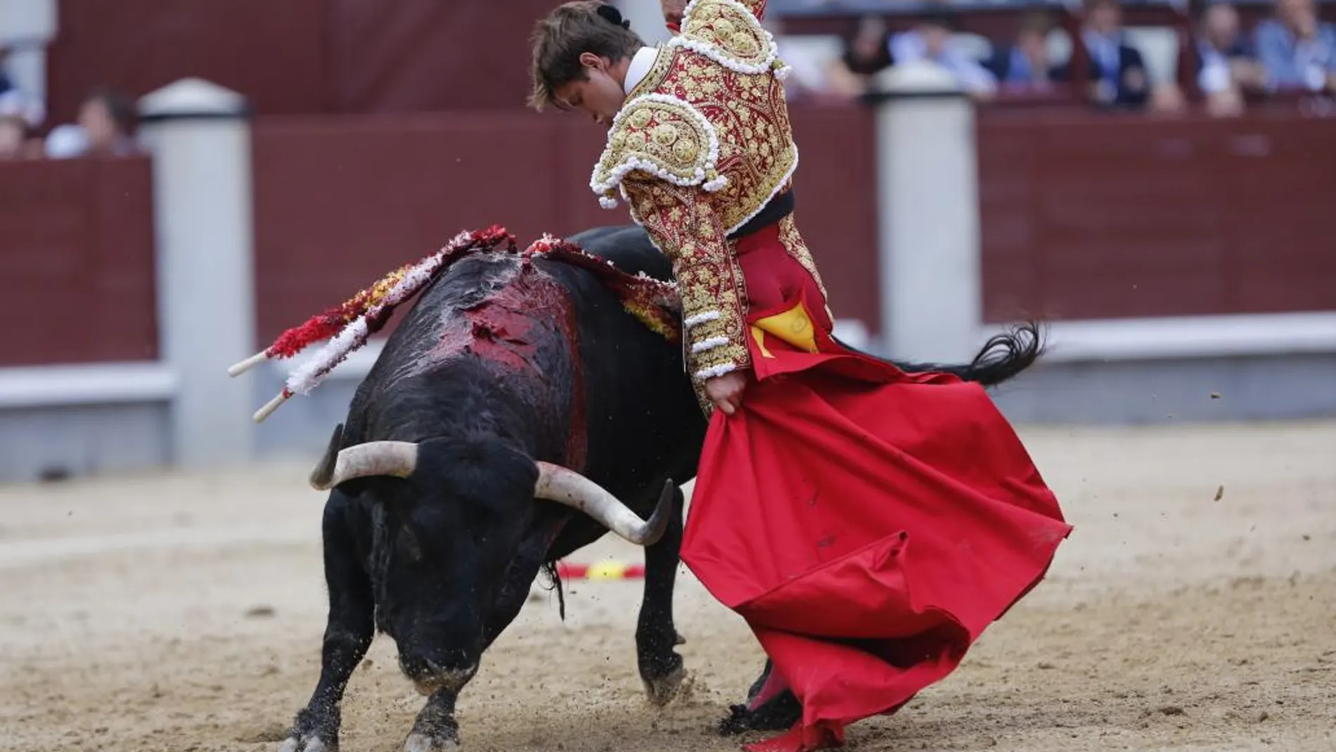 Remate de El Juli a su primer toro en la Corrida de Beneficencia