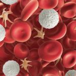 Nuevas expectativas en las terapias frente a leucemias y anemias