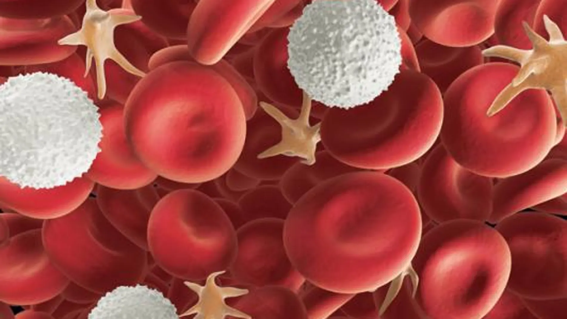 Nuevas expectativas en las terapias frente a leucemias y anemias