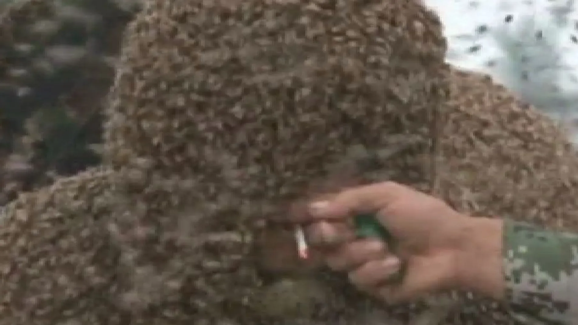 Un millón de abejas en el cuerpo de un hombre
