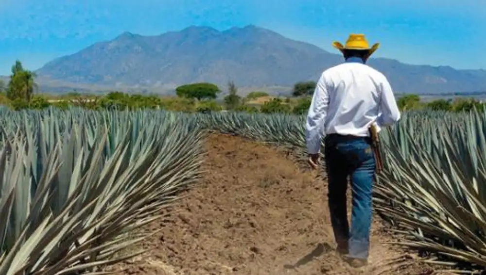 México: tequila a la sombra de un volcán