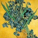 Lirios de Van Gogh
