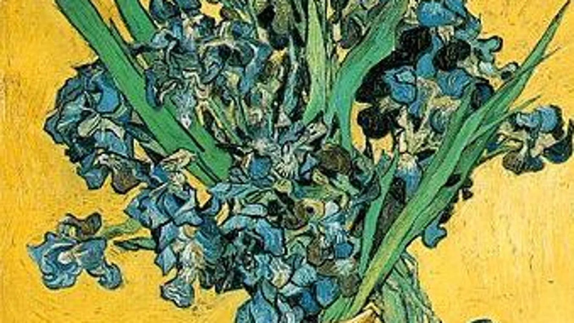 Lirios - Vincent Van Gogh - Historia Arte (HA!)